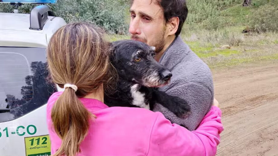 Final feliz em Adamuz: cão desaparecido após colisão de comboios é encontrado com vida