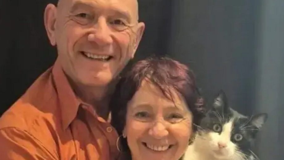 Uma história incrível! Conheça o Filou, o gato que andou 250 km para reencontrar os donos