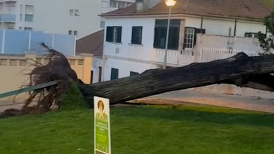 Imagens mostram incidente no centro da Ericeira