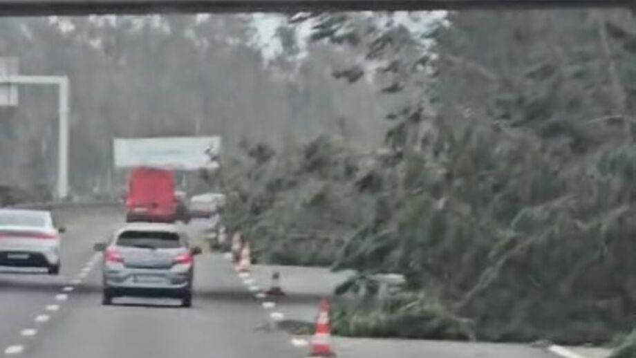 Equipa viaja até Lisboa, onde amanhã mede forças com o Benfica B