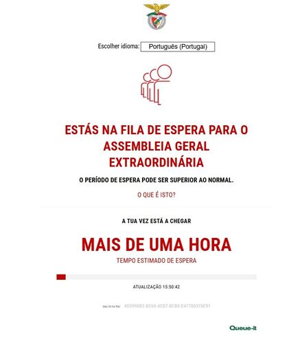 'Fila de espera' para votar online