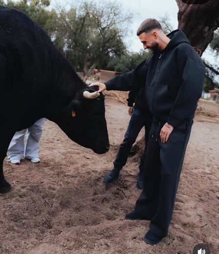  Debast em ação de solidariedade