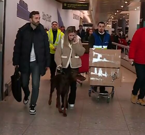 O momento em que empresário, namorada e... cão de Rafa são 'apanhados' à chegada a Lisboa