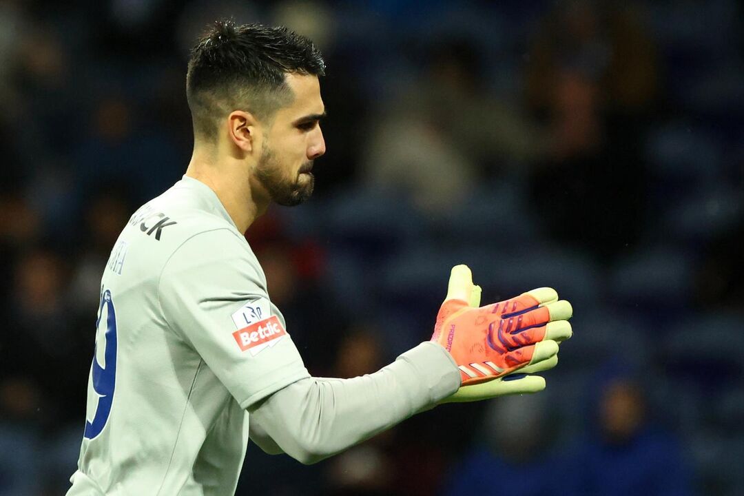 Diogo Costa, guarda-redes do FC Porto