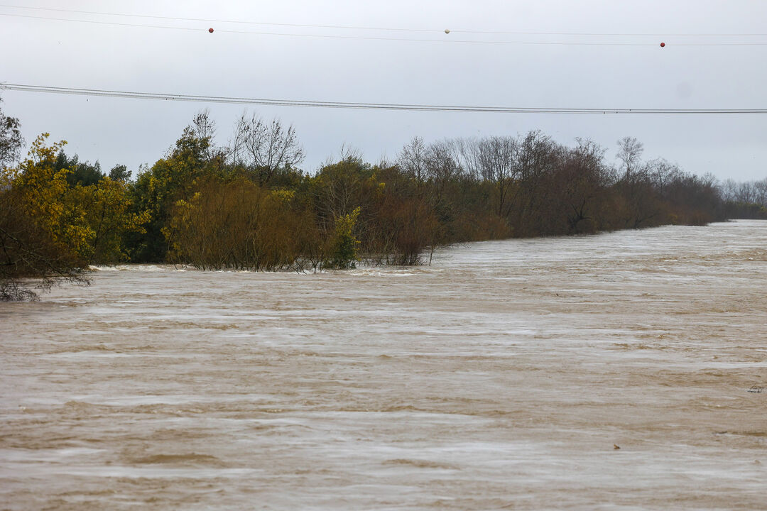 Diques do Mondego em risco de colapsar