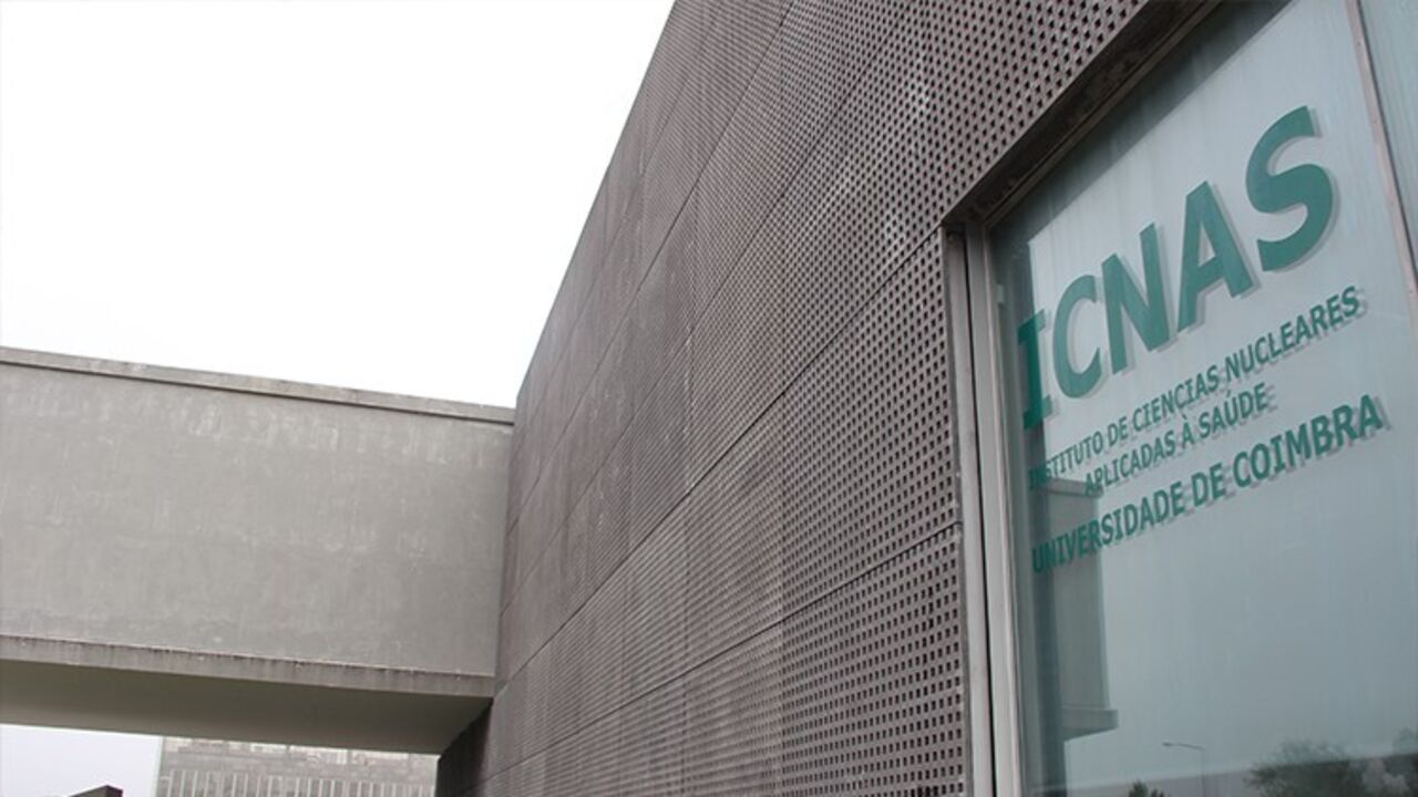 Mau tempo força encerramento da Universidade de Coimbra