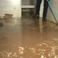 <![CDATA[ Populares abrem portas de casa ao CM e mostram estragos causados pelas inundações em Leiria ]]>