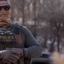 <![CDATA[ «Parem de perseguir as pessoas!»: imagens mostram novas detenções do ICE no Minnesota ]]>