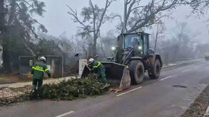 Militares limpam ruas em Alvaiázere: mau tempo deixou várias estradas interditas  