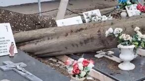 Queda de árvores destrói cemitério de Alverca do Ribatejo: funcionários e populares preocupados