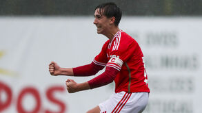 Tomás Soares é uma das pérolas da formação do Benfica