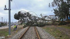 Mau tempo: Comboios suspensos em vários troços de linhas do Norte até Évora