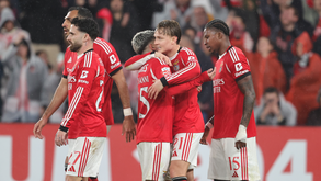 Forte valorização dos títulos da SAD das águias em bolsa