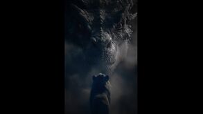 Um dragão a cuspir fogo à chegada do leão: FC Porto publica vídeo motivacional horas antes do clássico com o Sporting