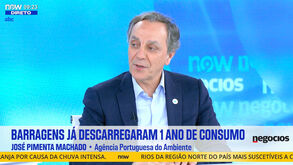 Chuva, neve derretida, solos saturados. APA alerta para "situação complicada"