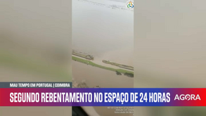As imagens do dique da margem esquerda do rio Mondego que rebentou na zona de Soure 