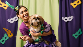 Folia sim, stress não! Saiba o que fazer para manter os seus pets seguros no Carnaval