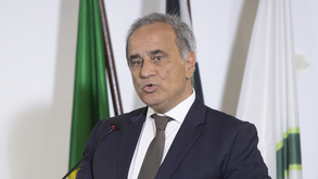 João Palma vai liderar assembleia eleitoral dos verdes e brancos