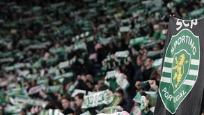 Adeptos do Sporting