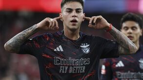 Primeiro, Enzo tapou os ouvidos...