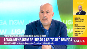 Pedro Sousa: «Se houve coisa que Rui Costa e Vieira fizeram foi limpar a sujidade que Luisão deixou»