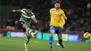 As notas dos jogadores do Sporting frente ao Estoril: este Luis é craque que marca e morde