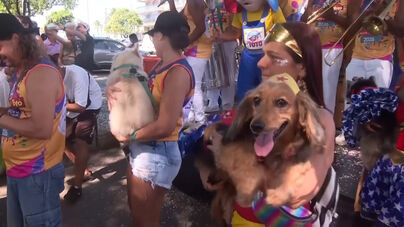 Cães mascarados desfilam no Carnaval do Rio de Janeiro em 'protesto' contra maus-tratos a animais