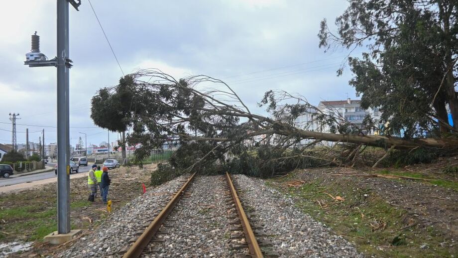 Mau tempo causa interrupções nas linhas do Norte até Évora