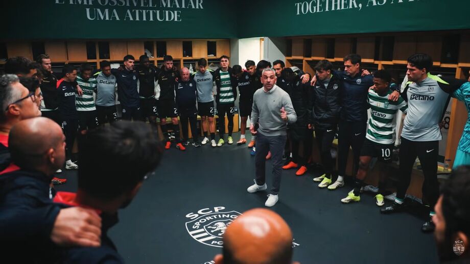 Leões mostram imagens