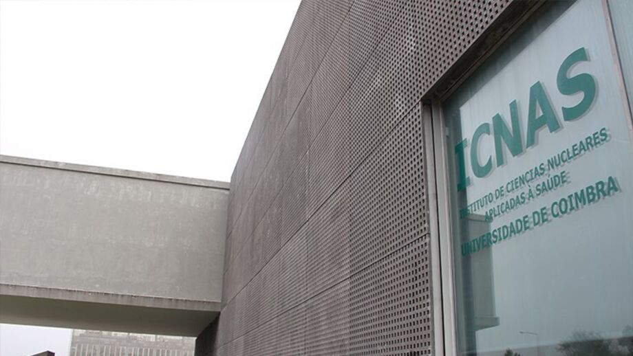 Mau tempo força encerramento da Universidade de Coimbra