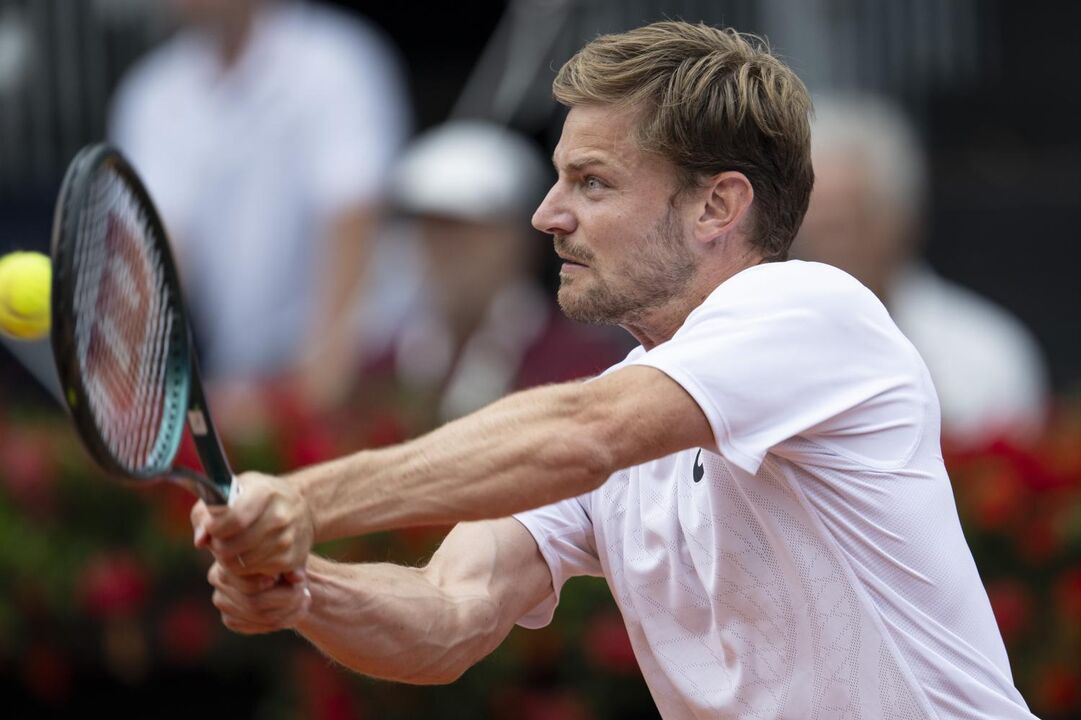 David Goffin