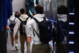 Equipa do Sporting à chegada a Gaia