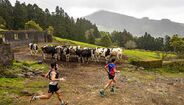 Atletas correm na Povoação Trail, nos Açores