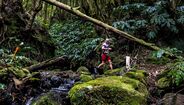 Povoação Trail coroa campeões da Taça de Portugal com 900 atletas nos Açores