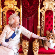 <![CDATA[ Corgis da Rainha Isabel II tornam-se ícones de moda e são os protagonistas da nova campanha de uma marca de luxo ]]>