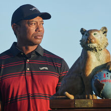 <![CDATA[ Novos detalhes: Tiger Woods apresentou sinais de embriaguez após acidente de viação e foi detido ]]>