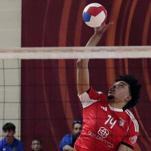 <![CDATA[ Espinho-Benfica interrompido durante 10 minutos devido a alegado insulto racista a Lucas França ]]>