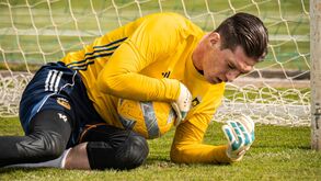 Miszta a trabalhar com bola