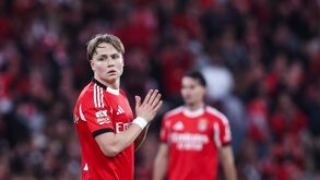 Schjelderup condenado