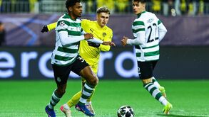 Luís Guilherme no Bodo/Glimt-Sporting