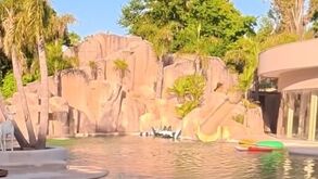 Da piscina gigantesca aos matraquilhos da Bombonera: Carlos Tévez abriu as portas da sua incrível mansão