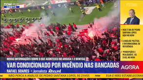 «Clubes têm dificuldades em ter mão firme na forma como repudiam os atos de certos adeptos. É o que está a faltar ao Benfica»