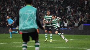 Jogadores do Sporting celebram golo contra o Bodo/Glimt na Liga dos Campeões