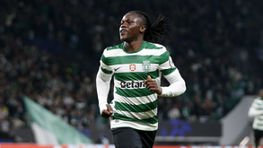 Quenda voltará a Lisboa quatro meses após ter rumado a Londres