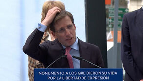 Presidente da câmara de Madrid atingido por 'descuido' de pombo durante discurso