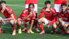 Benfica na Youth League esta época