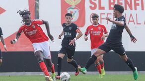 Benfica-Ac. Viseu, 0-1: águia fica por terra em jogo polémico