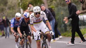 Pogacar venceu a Milão-Sanremo após cair e sabe-se agora também com a bicicleta avariada