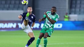 Luís Machado em ação