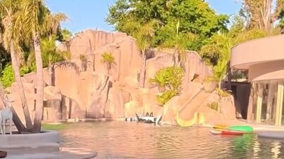 Da piscina gigantesca aos matraquilhos da Bombonera: Carlos Tévez abriu as portas da sua incrível mansão